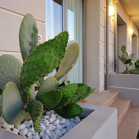 & Cavalluccio Marino Rimini