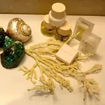& Cavalluccio Marino מלון
