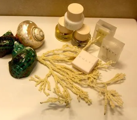 & Cavalluccio Marino מלון
